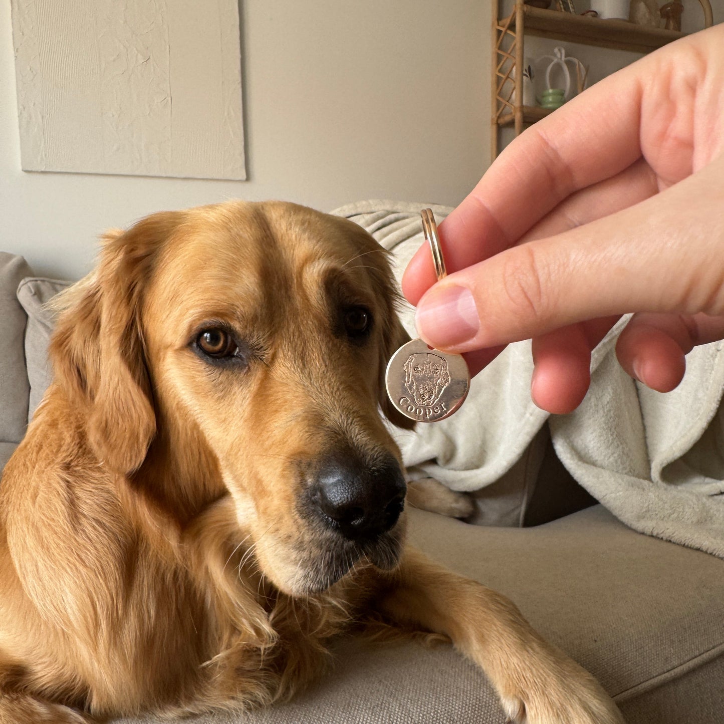 Gepersonaliseerde huisdiergezicht sleutelhanger